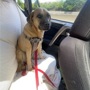 Meet your Posher, Jordan